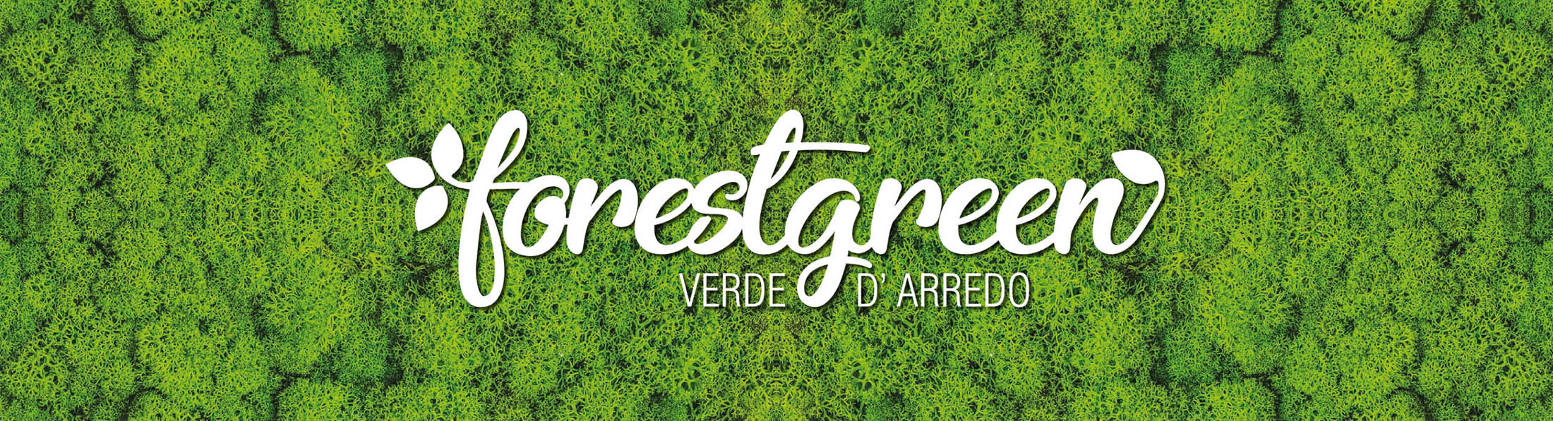 forestgreen Verde d'Arredo - Vivai, Fiori e Piante da interno Teramo e provincia