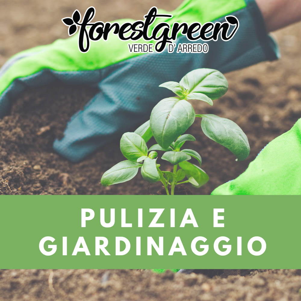 Pulizia e Giardinaggio