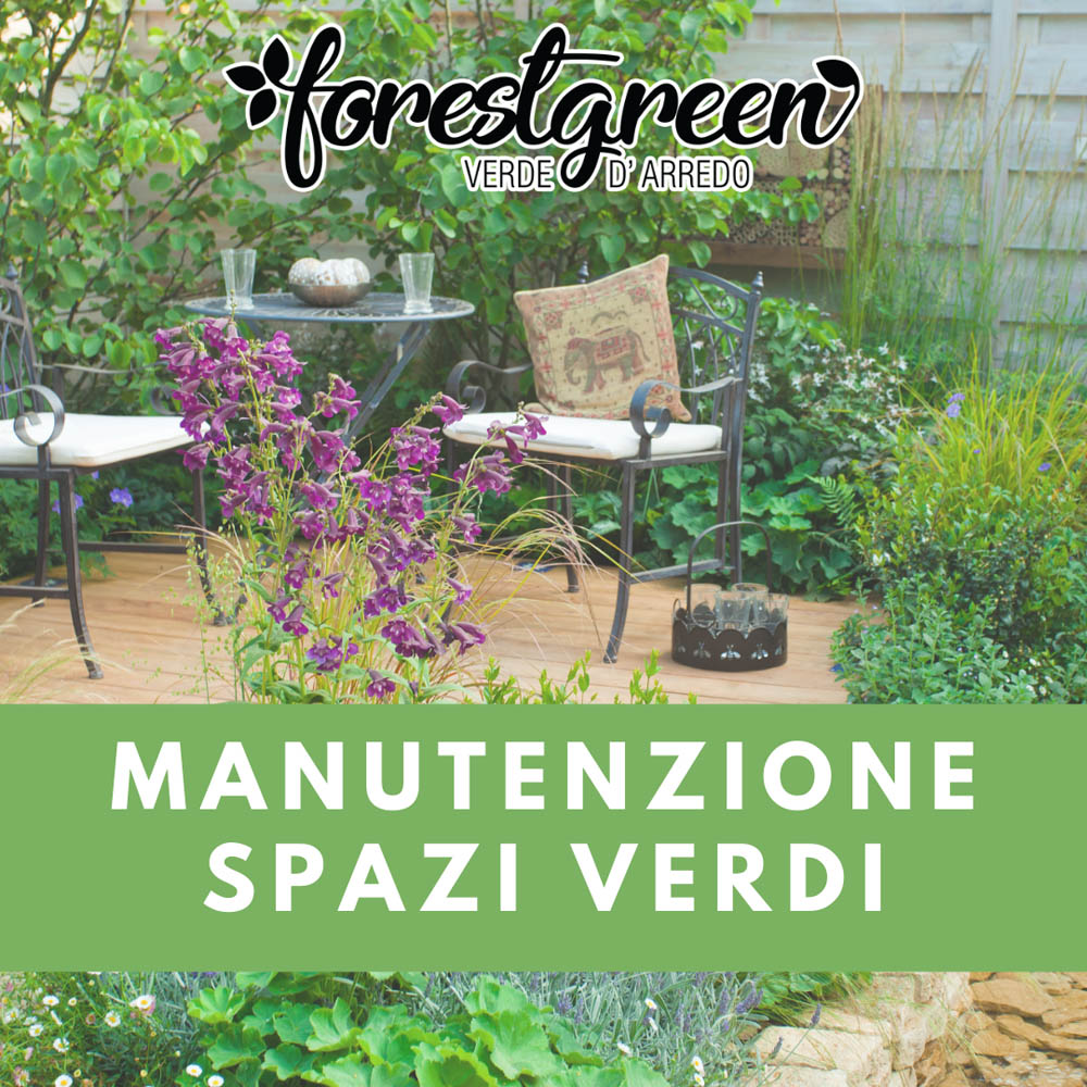 Manutenzione spazi verdi