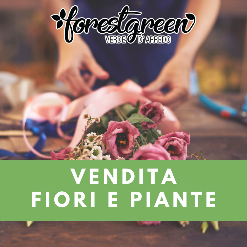 Vendita fiori e piante