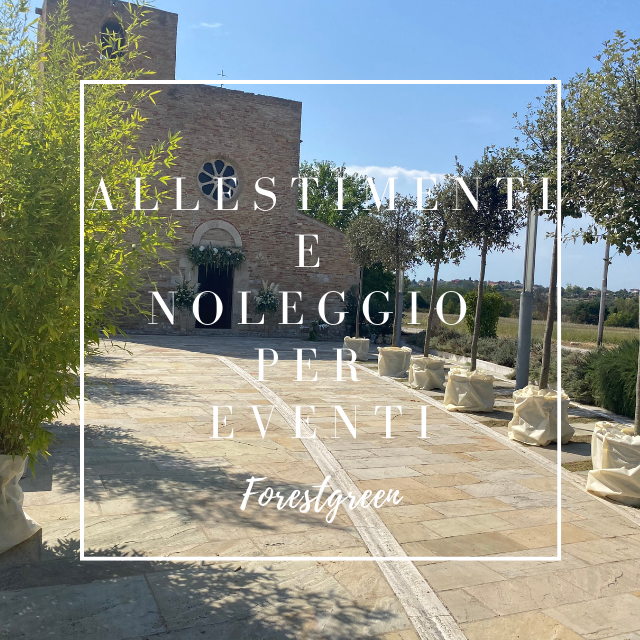 Noleggio piante per eventi Noleggio piante per eventi