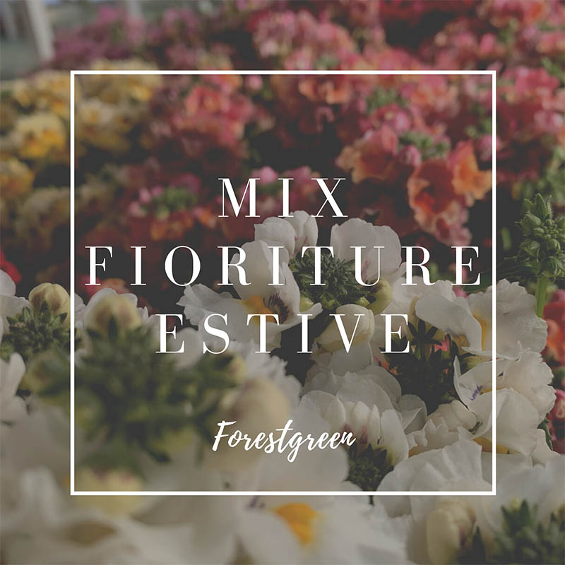 MIX FIORITURE ESTIVE