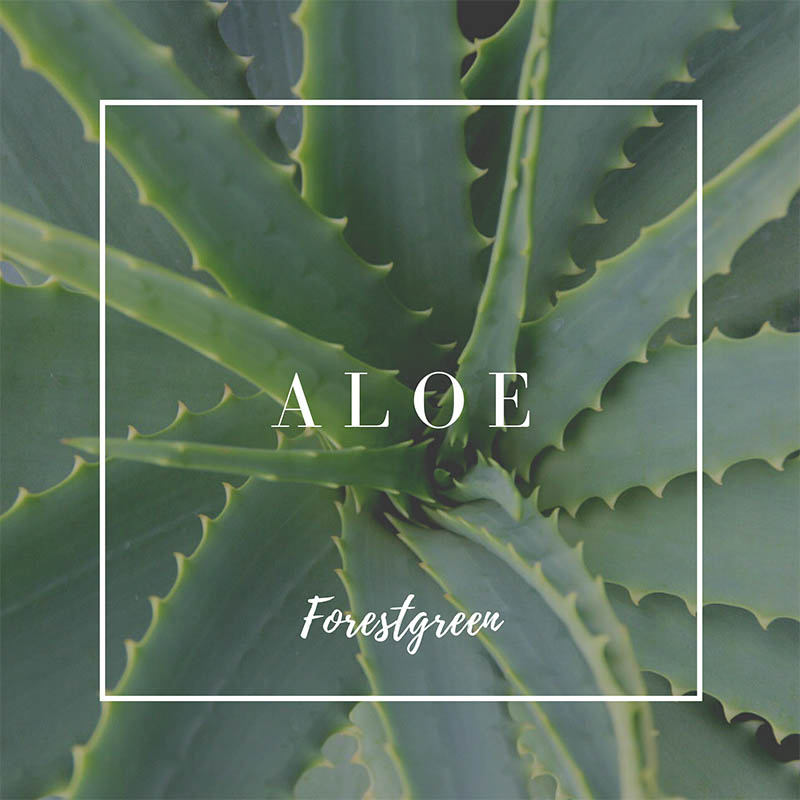 ALOE